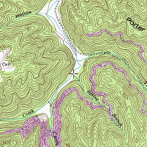 Topographic Map of Spring Branch, VA