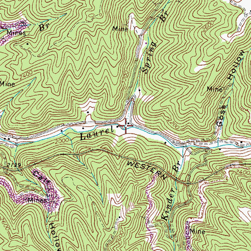 Topographic Map of Spring Branch, VA