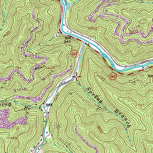 Topographic Map of Spring Branch, VA