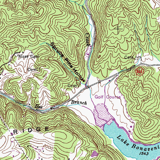 Topographic Map of Spruce Pine Hollow, VA