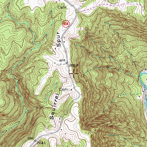 Topographic Map of Squirrel Spur, VA