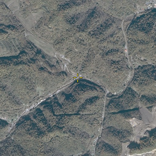 Aerial/Satellite Image of Starr Branch, VA