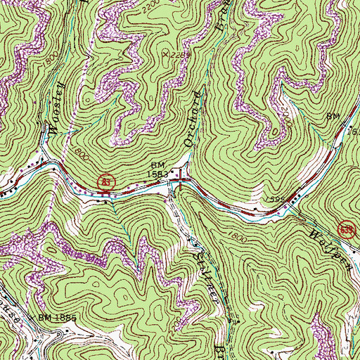 Topographic Map of Stiltner Branch, VA