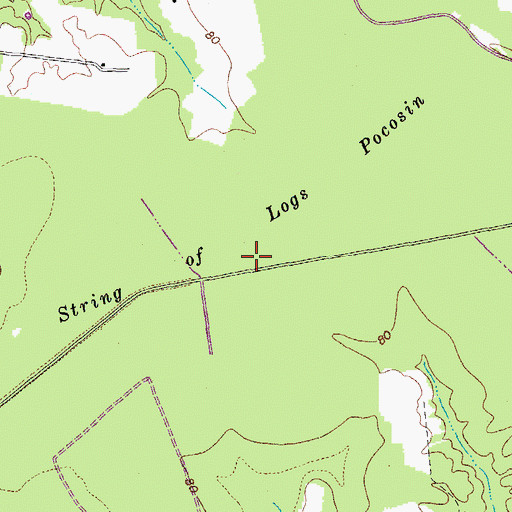 Topographic Map of String of Logs Pocosin, VA