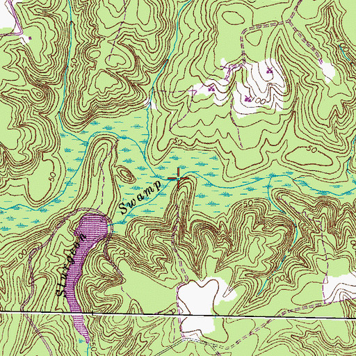 Topographic Map of Sturgeon Swamp, VA