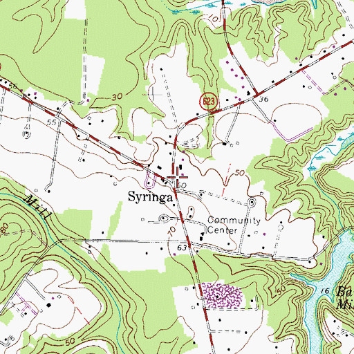 Topographic Map of Syringa, VA