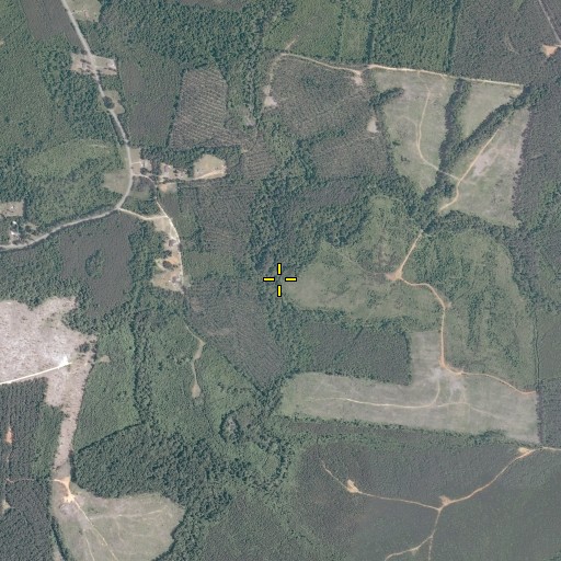 Aerial/Satellite Image of Tain Branch, VA