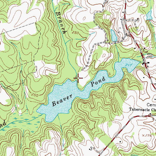 Topographic Map of Taylors Branch, VA