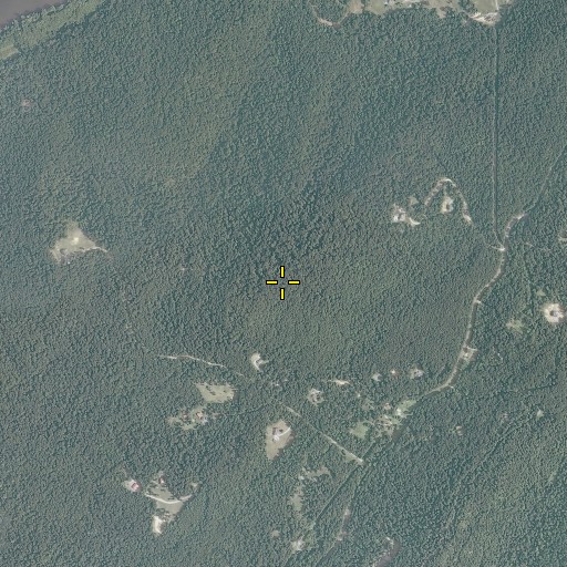 Aerial/Satellite Image of Taylors Hill, VA