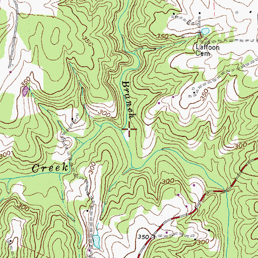 Topographic Map of Tea Branch, VA