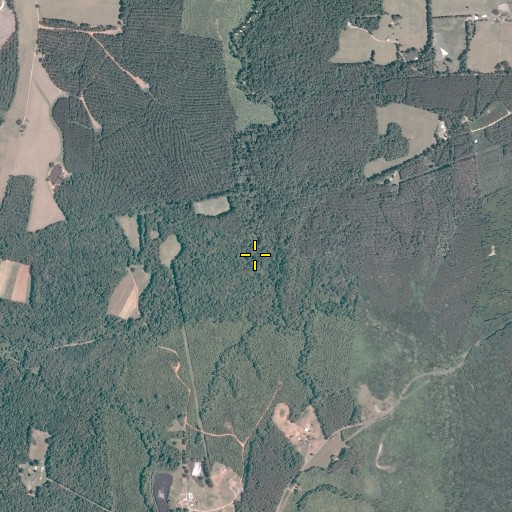 Aerial/Satellite Image of Tea Branch, VA