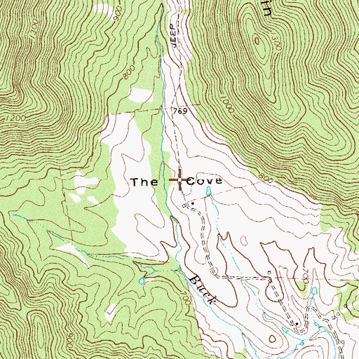 Topographic Map of The Cove, VA