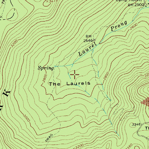 Topographic Map of The Laurels, VA