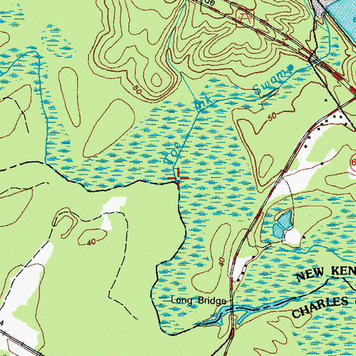 Topographic Map of Toe Ink Swamp, VA