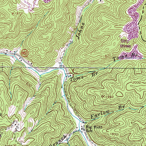 Topographic Map of Toms Branch, VA