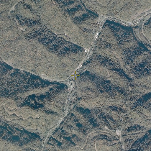Aerial/Satellite Image of Trace Fork, VA