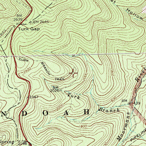 Topographic Map of Turk Branch Trail, VA