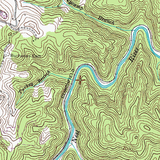 Topographic Map of Turkey Branch, VA