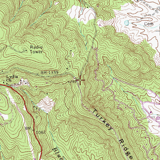 Topographic Map of Turkey Ridge, VA