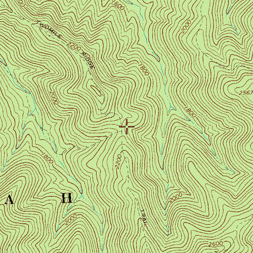 Topographic Map of Twomile Ridge Trail, VA