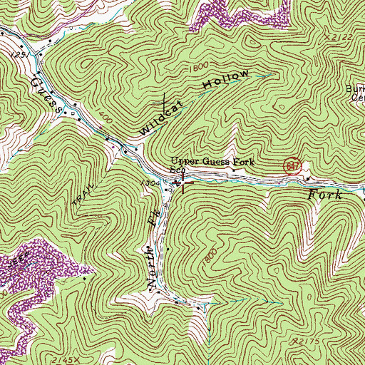 Topographic Map of Upper Guess Fork School, VA