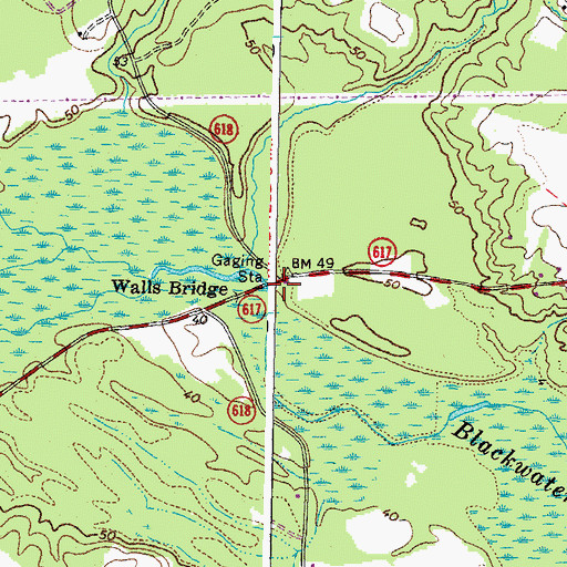 Topographic Map of Walls Bridge, VA