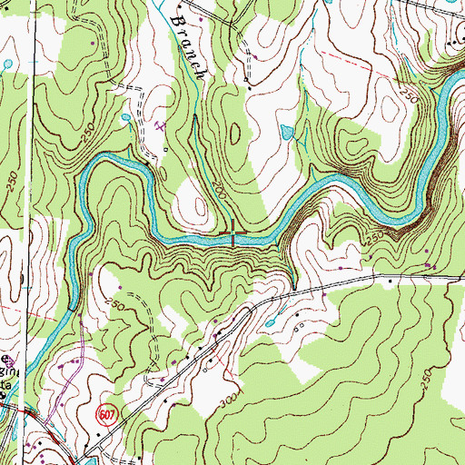 Topographic Map of Walnut Branch, VA