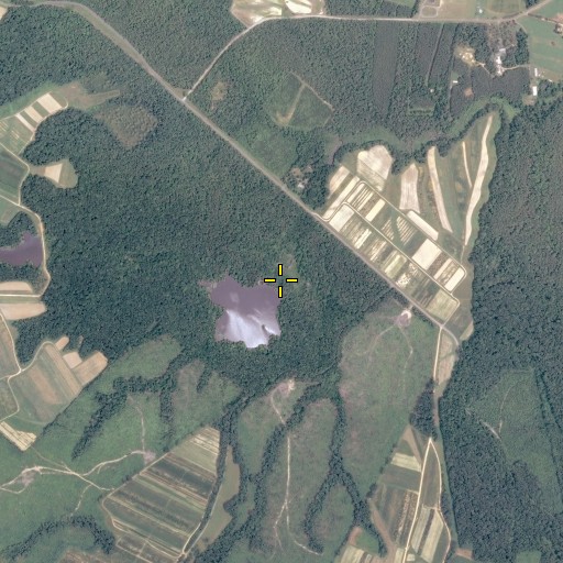 Aerial/Satellite Image of Walnut Hill Run, VA