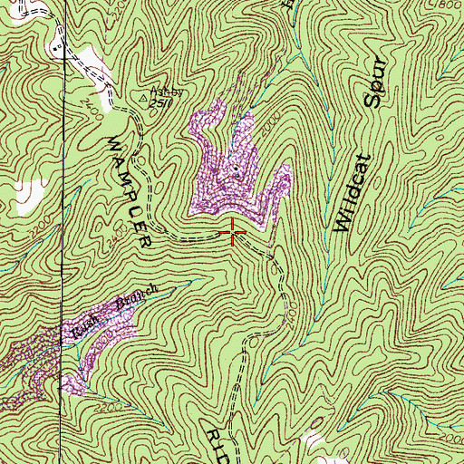 Topographic Map of Wampler Ridge, VA