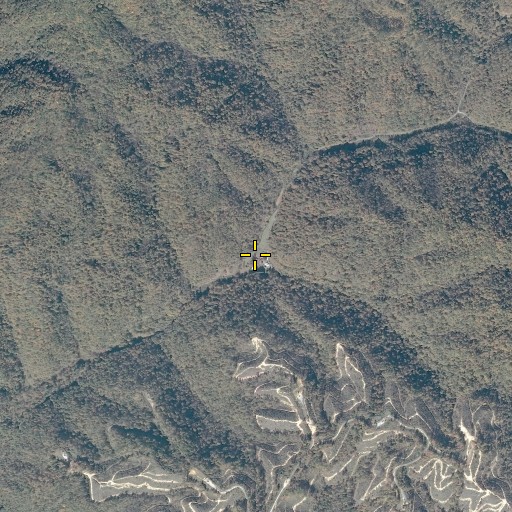Aerial/Satellite Image of Warren Branch, VA