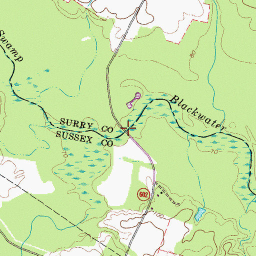 Topographic Map of Warwick Swamp, VA