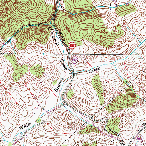 Topographic Map of White Branch, VA