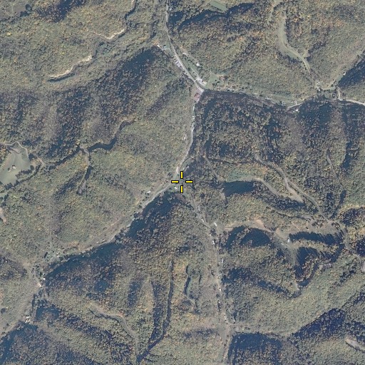 Aerial/Satellite Image of Whitt Branch, VA