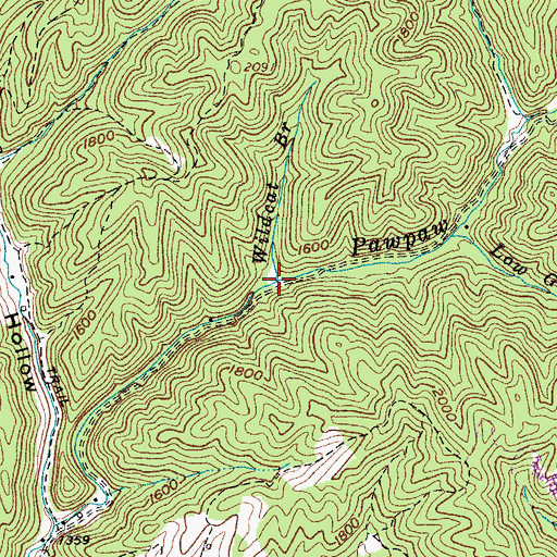 Topographic Map of Wildcat Branch, VA