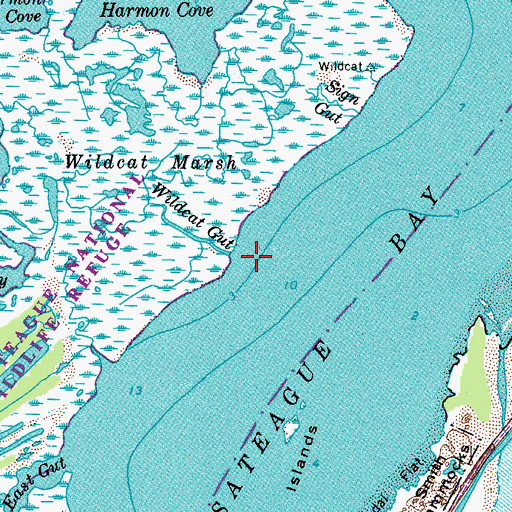 Topographic Map of Wildcat Gut, VA