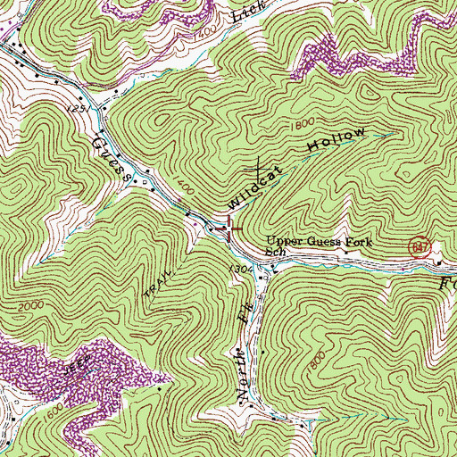 Topographic Map of Wildcat Hollow, VA