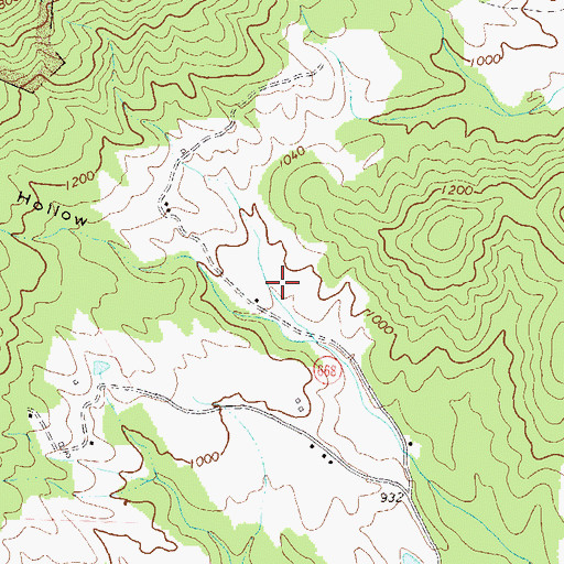 Topographic Map of Wildcat Hollow, VA