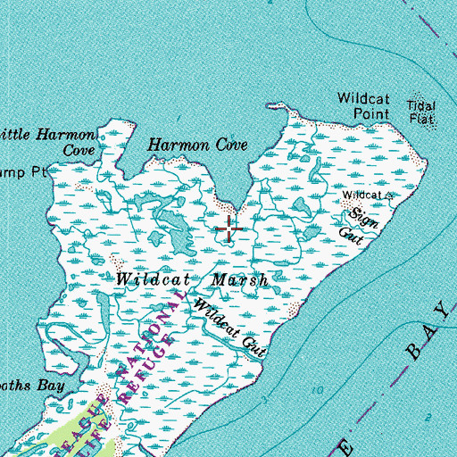 Topographic Map of Wildcat Marsh, VA