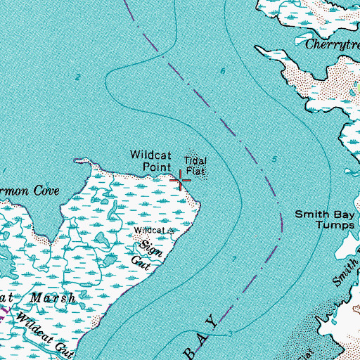 Topographic Map of Wildcat Point, VA