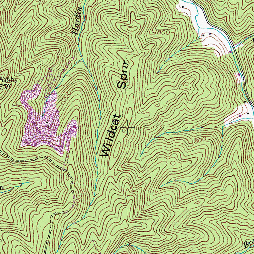 Topographic Map of Wildcat Spur, VA