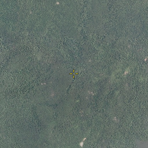 Aerial/Satellite Image of Willoughby Mountain, VA