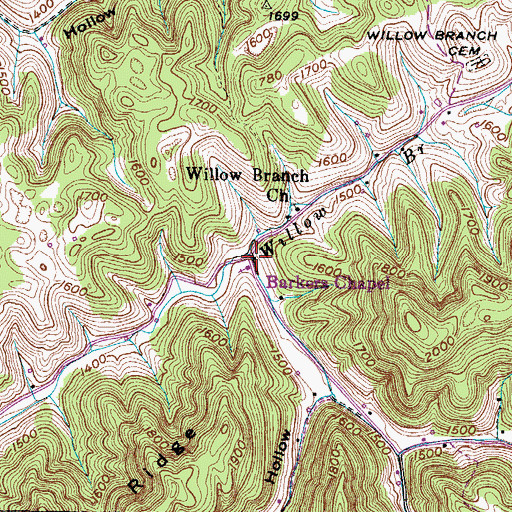 Topographic Map of Willow Branch, VA