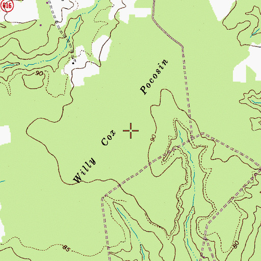 Topographic Map of Willy Cox Pocosin, VA