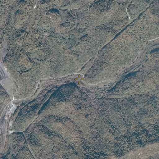 Aerial/Satellite Image of Wolfpen Branch, VA