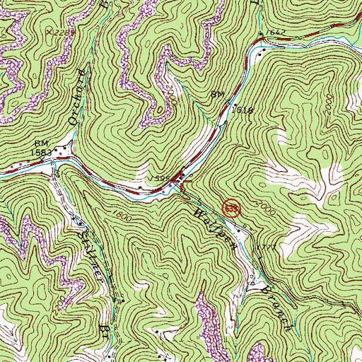 Topographic Map of Wolfpen Branch, VA