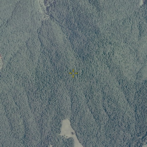 Aerial/Satellite Image of Wolfpit Mountain, VA