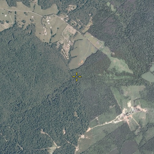 Aerial/Satellite Image of Wolftrap Branch, VA