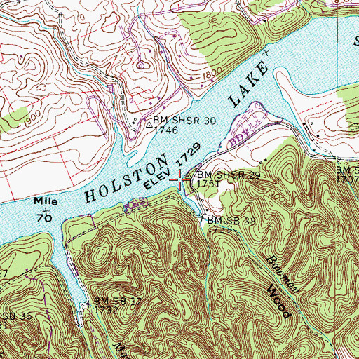 Topographic Map of Wood Hollow, VA