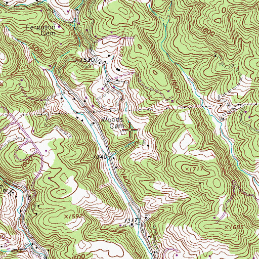 Topographic Map of Woods Cemetery, VA