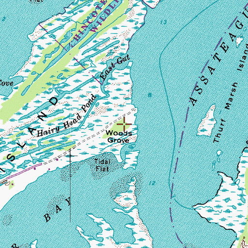 Topographic Map of Woods Grove, VA
